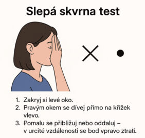 Slepá skvrna - test