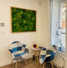 Designový koutek pro zákazníky s mechovou dekorací v oční optice.